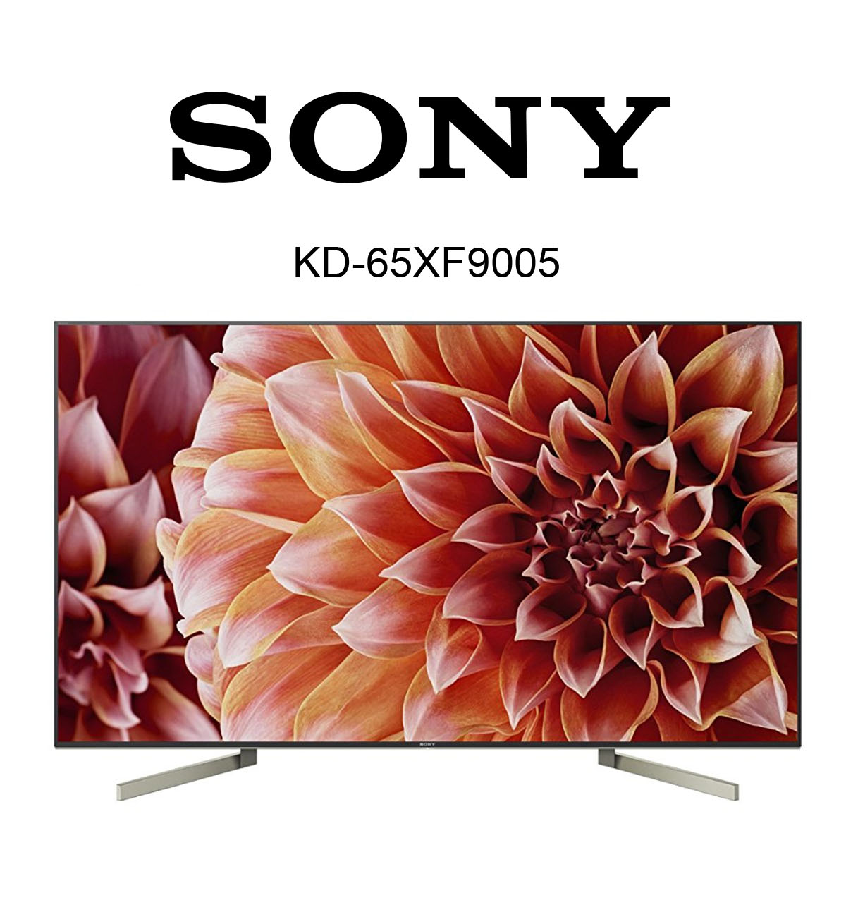 GOUYESHO RMF-TX310E - vocale Telecomando di ricambio per Sony Bravia TV KD-43XF8096 KD-43XF8588 KD-43XF8596 KD-43XF8599 KD-43XF8796 KD-49XF7596 KD-49XE8005 KD-49XF8505 KD-65XF8596