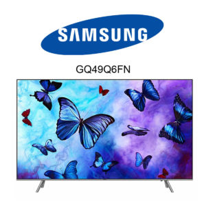 Samsung GQ49Q6FN QLED 4K Fernseher