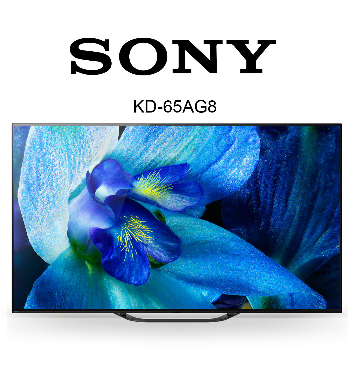 Sony KD-65AG8 im Test - OLED 4K Fernseher KD65AG8BAEP - Produkttest24 ...