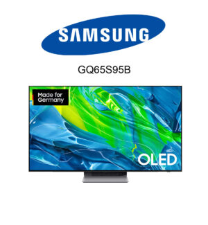 Samsung GQ65S95B im Test