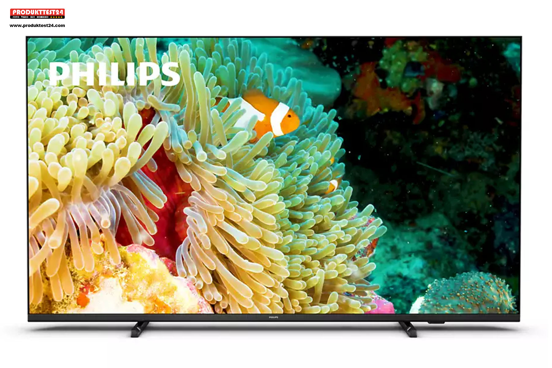 65 Zoll Bilddiagonale mit 4K-Auflösung und HDR10