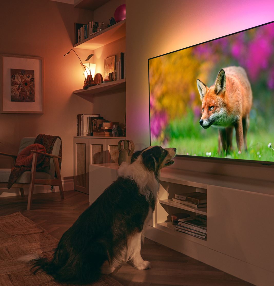 "The One": Der Philips 50PUS8808/12 im Test - Produkttest24.com ...